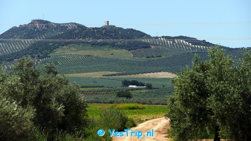 xxx from Navas del Selpillar to Puente Genil xxx